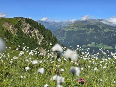 Holiday apartment Ferienwohnung Vogelnest - Environment photo 21