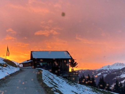 Holiday apartment Ferienwohnung Vogelnest - Environment photo 24