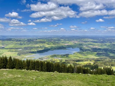 Holiday apartment Ulrichsbrunnen holiday home - Environment photo 19