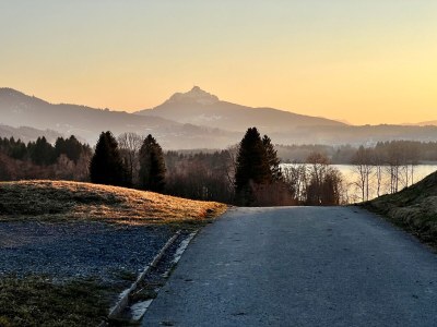 Holiday apartment Ulrichsbrunnen holiday home - Environment photo 20