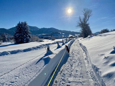 Holiday apartment Ulrichsbrunnen holiday home - Environment photo 21