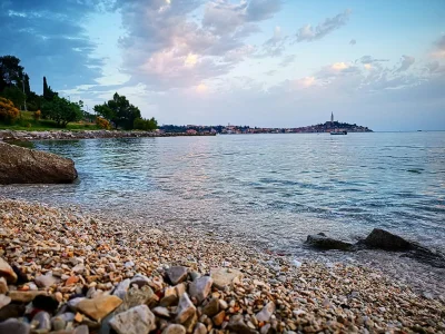 Villa Boni Domini - Environment photo 40