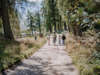 Farmhouse Malleier - Environment photo 22