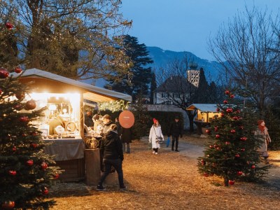 Farmhouse Malleier - Environment photo 26