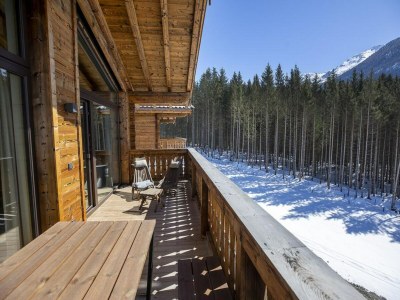 Holiday park Chalet in Neukirchen nahe Anfängerpiste - Outdoor photo 15