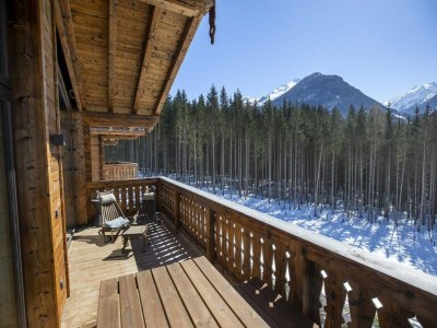 Holiday park Chalet in Neukirchen nahe Anfängerpiste - Outdoor photo 19