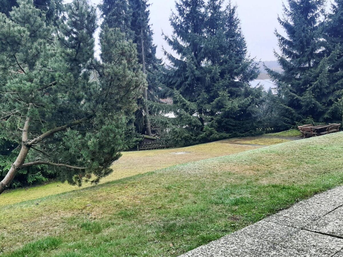 Apartment Apartment in Braunlage - Outdoor photo 2