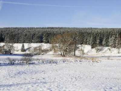 Apartment Apartment in Braunlage - Outdoor photo 44