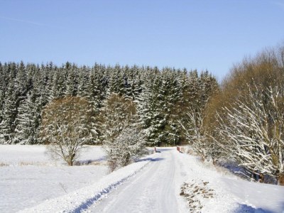 Apartment Apartment in Braunlage - Outdoor photo 46