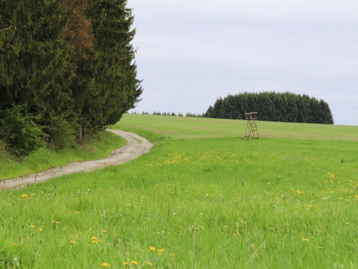 Apartment Wohnung in Braunlage nahe Wurmberg Skilift - Outdoor photo 4