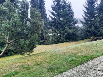 Apartment Wohnung in Braunlage nahe Wurmberg Skilift - Outdoor photo 8