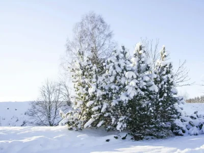 Apartment Wohnung in Braunlage nahe Wurmberg Skilift - Outdoor photo 45
