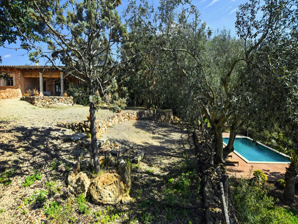 Holiday house Finca in Santa María mit Salzwasserpool - Outdoor photo 3