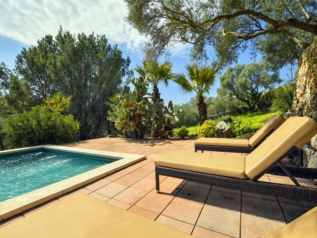 Holiday house Finca in Santa María mit Salzwasserpool - Outdoor photo 5