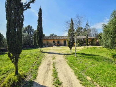 Holiday house Finca in Santa María mit Salzwasserpool - Outdoor photo 11