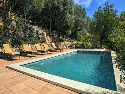 Holiday house Finca in Santa María mit Salzwasserpool - Outdoor photo 12