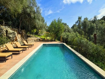 Holiday house Finca in Santa María mit Salzwasserpool - Outdoor photo 15