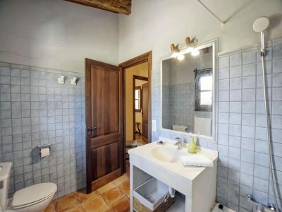 Holiday house Finca in Santa María mit Salzwasserpool - Features photo 16