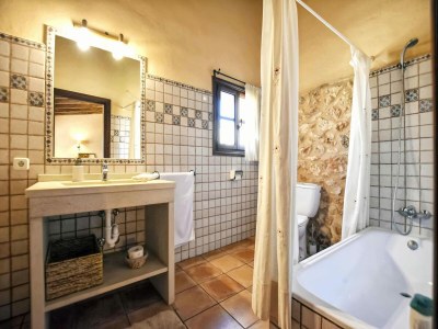 Holiday house Finca in Santa María mit Salzwasserpool - Features photo 19