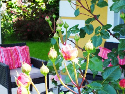 Apartment am See - Outdoor photo 7