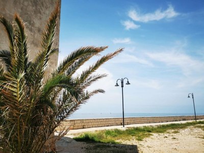 Holiday house Sea View Holiday Home Umag - Three Bedroom Holiday Home - Outdoor photo 7