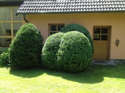 Holiday house Atelierhaus - Outdoor photo 3