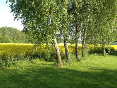 Holiday house Atelierhaus - Outdoor photo 6