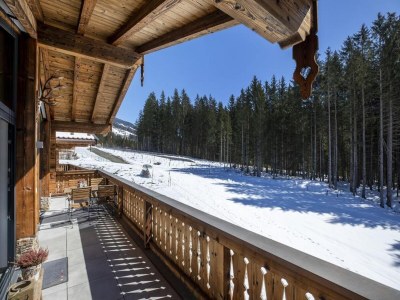 Holiday park Chalet in Neukirchen near Wildkogel Ski Arena - Outdoor photo 55