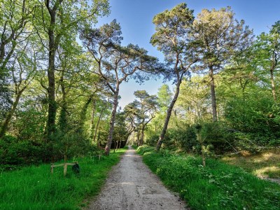 Holiday house 5 O'Clock Somewhere - Environment photo 22