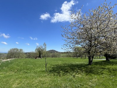 Holiday apartment Bergidylle- saniert und hochwertig - Outdoor photo 8
