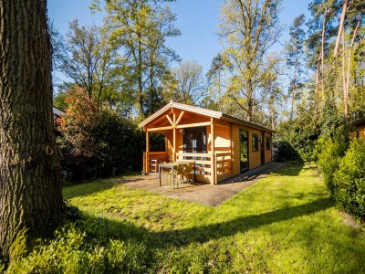 Holiday park Holiday Home in Markelo near Forest & Pool - Outdoor photo 5