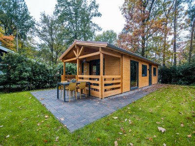 Holiday park Holiday Home in Markelo near Forest & Pool - Outdoor photo 6