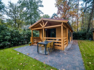 Holiday park Holiday Home in Markelo near Forest & Pool - Outdoor photo 8