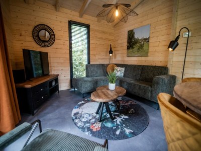 Holiday park Holiday Home in Markelo near Forest & Pool - Features photo 10