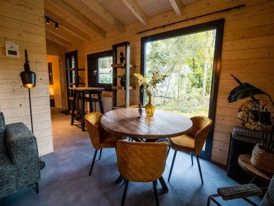 Holiday park Holiday Home in Markelo near Forest & Pool - Features photo 16