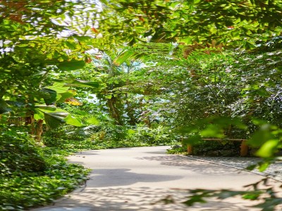 caravan Mobile Home im Tropical Islands Resort - Outdoor photo 34