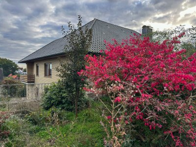 Holiday apartment Todte - Outdoor photo 6