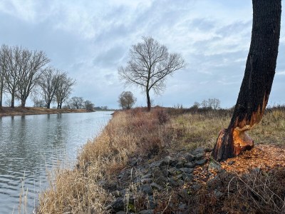 Holiday apartment Todte - Environment photo 31