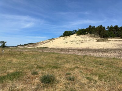 Holiday apartment Todte - Environment photo 32