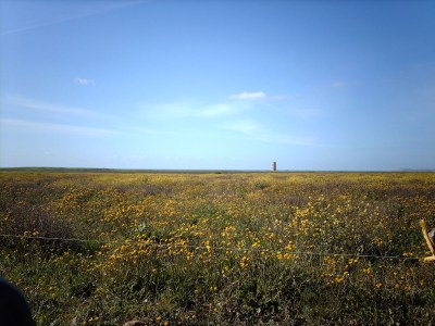 Holiday house Rita - Environment photo 17