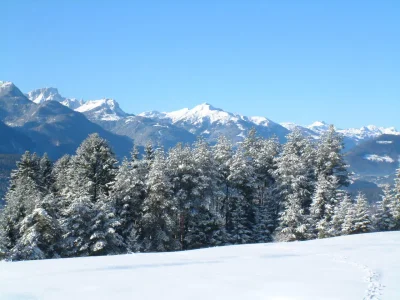 Holiday apartment Guesthouse in Wiesengrund Top 2 - Environment photo 24