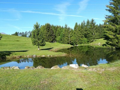 Holiday apartment Guesthouse in Wiesengrund Top 2 - Environment photo 25