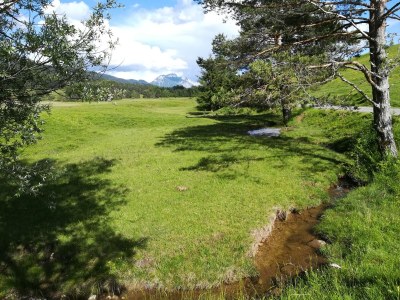 Holiday apartment Guesthouse in Wiesengrund Top 2 - Environment photo 26