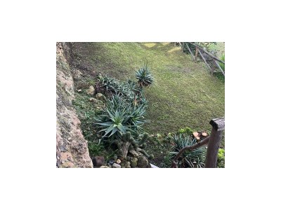 Holiday house Casa La Quercia - Outdoor photo 9