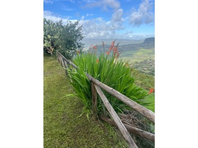 Holiday house Casa La Quercia - Outdoor photo 11