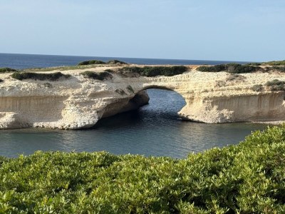 Holiday house Casa La Quercia - Environment photo 32