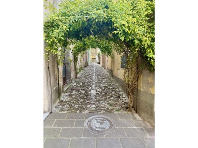 Holiday house Casa La Quercia - Environment photo 34