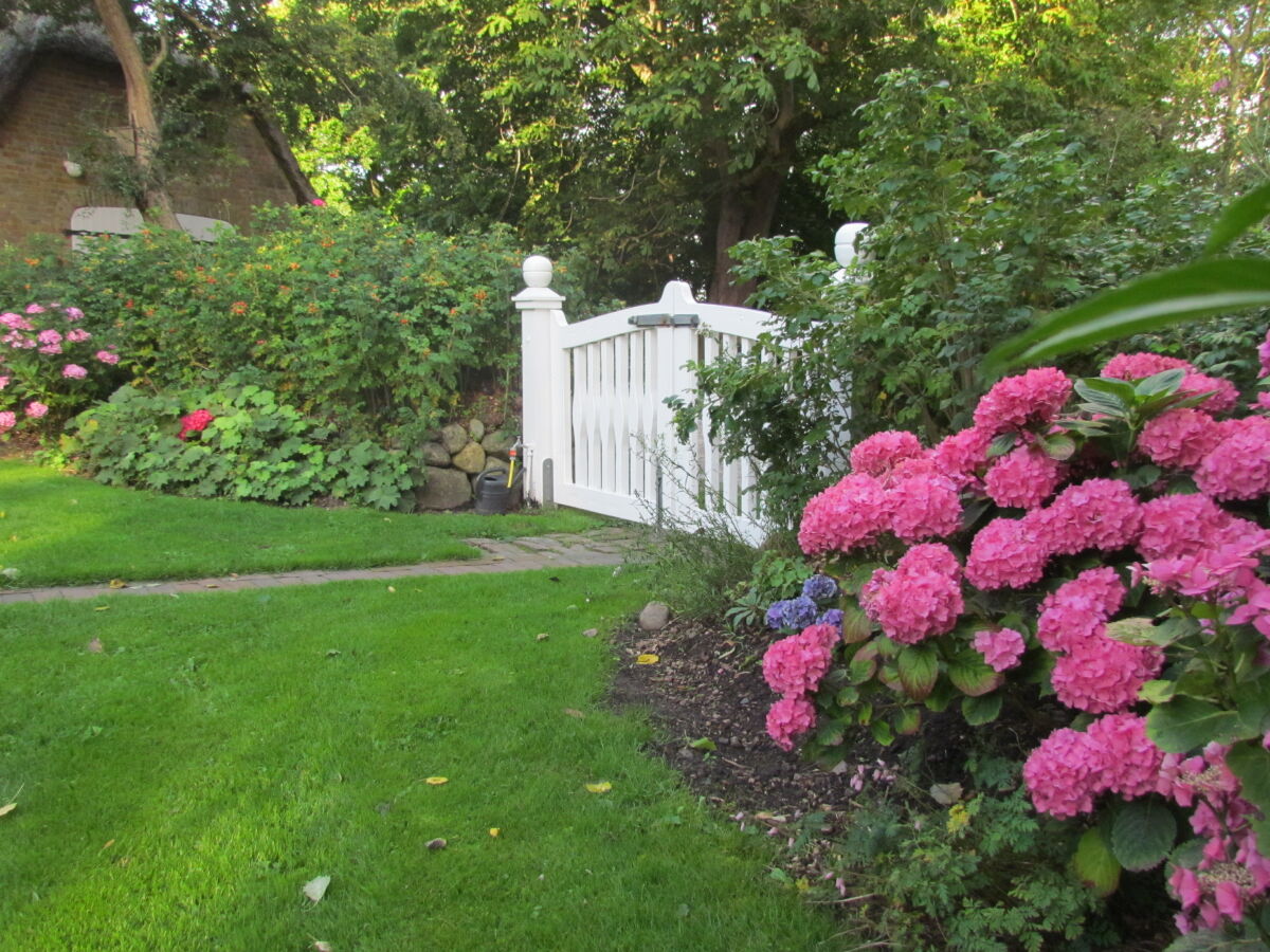 Apartment Historischer Davidshof - Outdoor photo 3