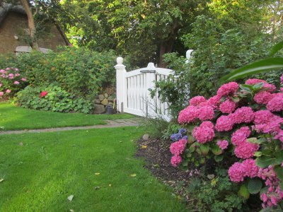 Apartment Historischer Davidshof - Outdoor photo 3