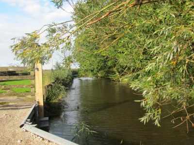 Apartment Historischer Davidshof - Outdoor photo 6